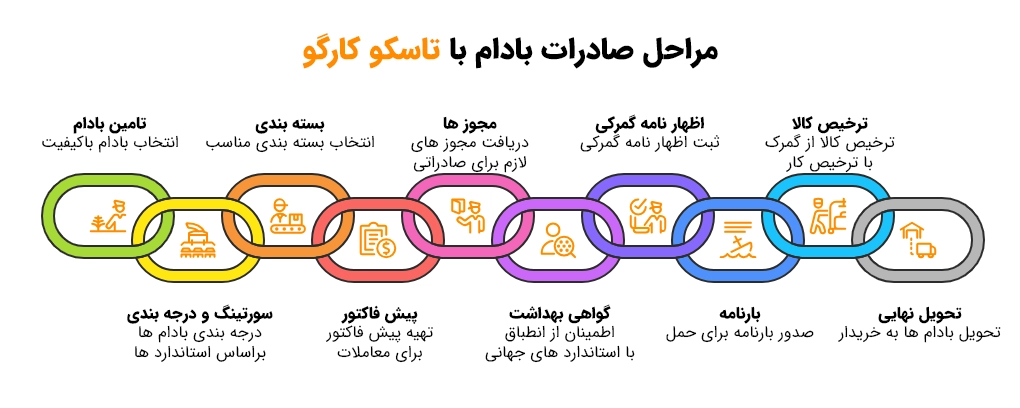 مراحل صادرات بادام با تاسکو کارگو
