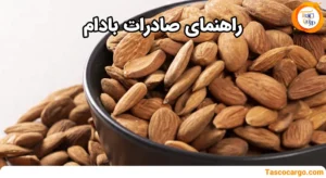راهنمای صادرات بادام به سراسر دنیا