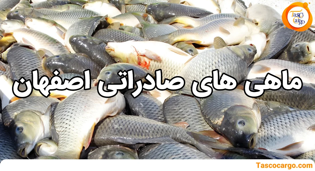 ماهی های صادراتی استان اصفهان تاسکو کارگو