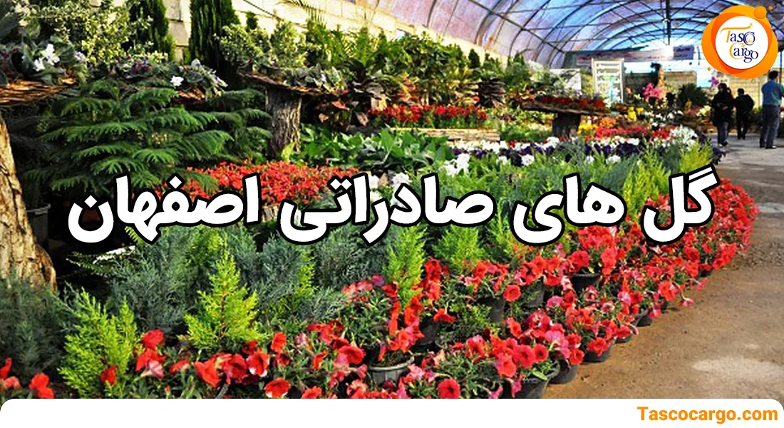 گل های صادراتی استان اصفهان تاسکو کارگو